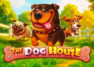 skpanda The Dog House ทดลองเล่นฟรี